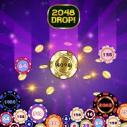 2048 Drop