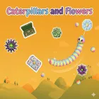Caterpillars and Flowers