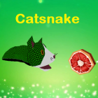 Catsnake