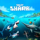 Crazy Shark