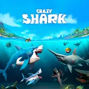Crazy Shark