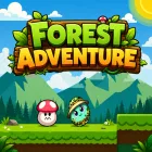 Forest Adventure