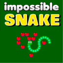 Impossible Snake