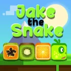 PLay Jake the Snake now!