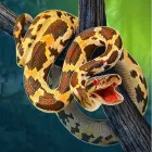 PLay Python Snake Simulator now!