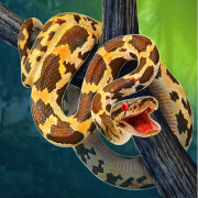 Play Python Snake Simulator now!