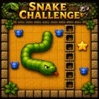 Snake Challenge