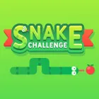 PLay Snake Challenge now!