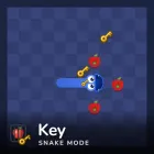 Snake Key Mode