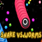 PLay Snake vs Worms now!