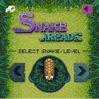 Snake Arcade