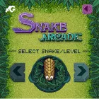 PLay Snake Arcade now!