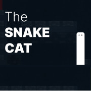 Play The Snake Cat now!