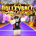 Volleyball Legends