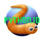 PLay python.io now!