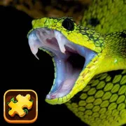Snake Puzzle Challenge - free online game