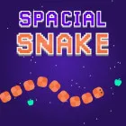 PLay Spacial Snake now!